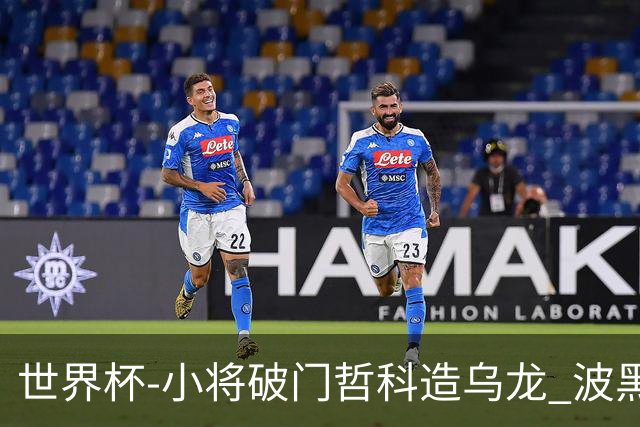 世界杯-小将破门哲科造乌龙 波黑3-1卡塔尔小组第三